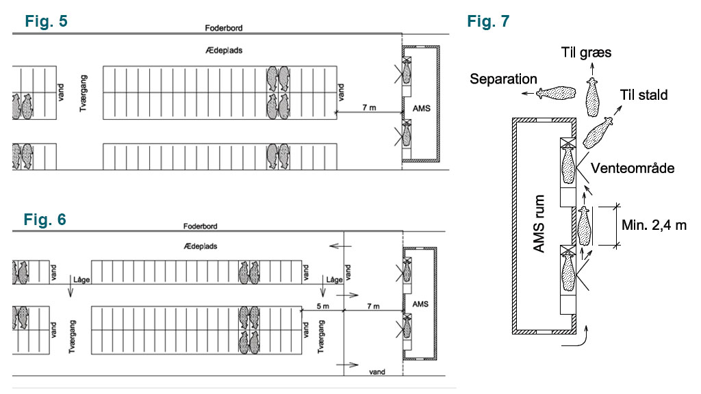 Fig 5. viser eksempel på staldindretning med fri ko-trafik, Fig 6. viser eksempel på staldindretning med styret ko-trafik og Fig 7: viser eksempel på med adgang til separation eller et særskilt hold. Samtidig er der også adgang til afgræsning direkte fra malkerobotten