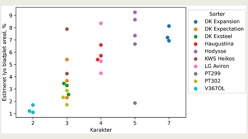 Sammenhæng mellem det modelestimerede areal med lys bladplet (procent stængel med angreb) og den angivne sygdomskarakter for de 10 sorter (2-3 billeder pr. sort).