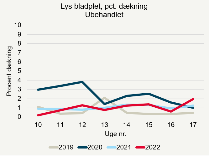 Procent dækning af lys bladplet i vinterraps i registreringsnettet i 2019 til 2022 for de ubehandlede marker.