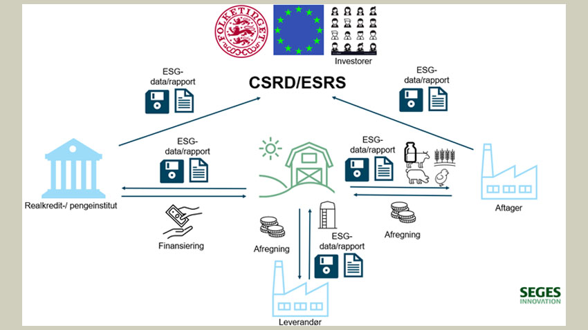 Diagram der illustrerer forpligtelser for virksomheder omfattet af CSRD (og dermed ESRS)