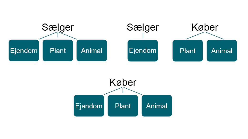 Fig. 5 Ejerskifte med delsalg og bortforpagtning af landbrugsvirksomhed