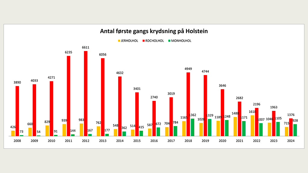 Antal første gangs krydsning på Holstein