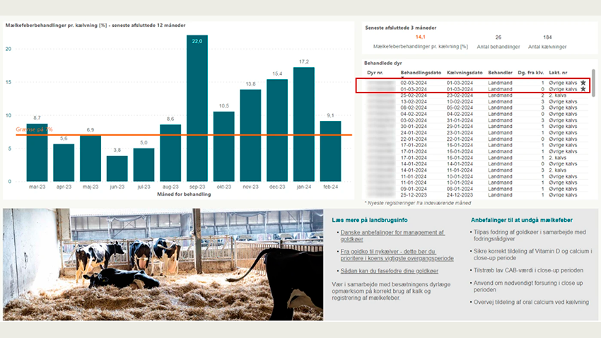 Fra DMS: Alarm for forhøjet mælkefeber