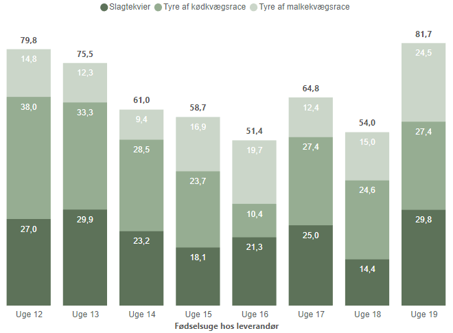 Ny Kalveprognose til slagtekalveproducenter