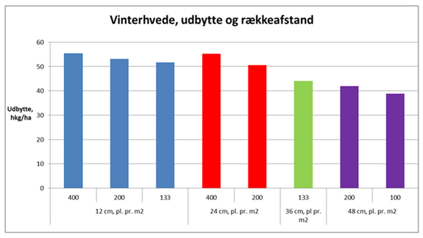 Rækkedyrkning i vinterhvede. 7 forsøg i 1998 til 2000.