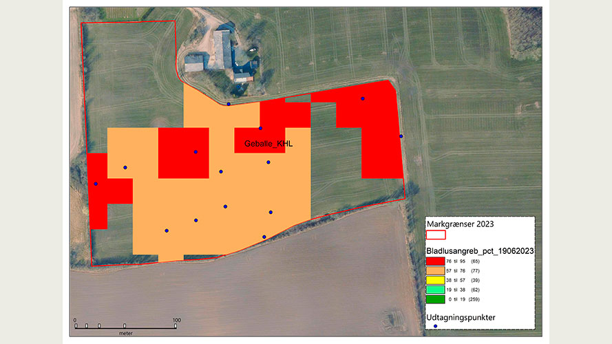 Markkort fra mark KHL (5,1 ha), hvor angrebsgraderne er blevet interpoleret.