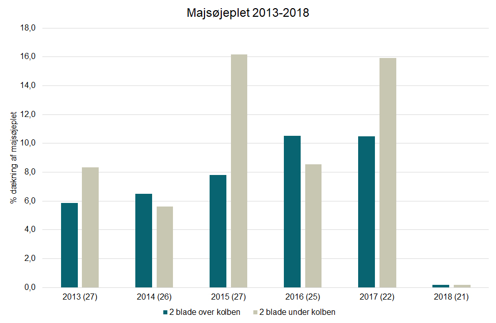 Bladsvampe i majs figur 2