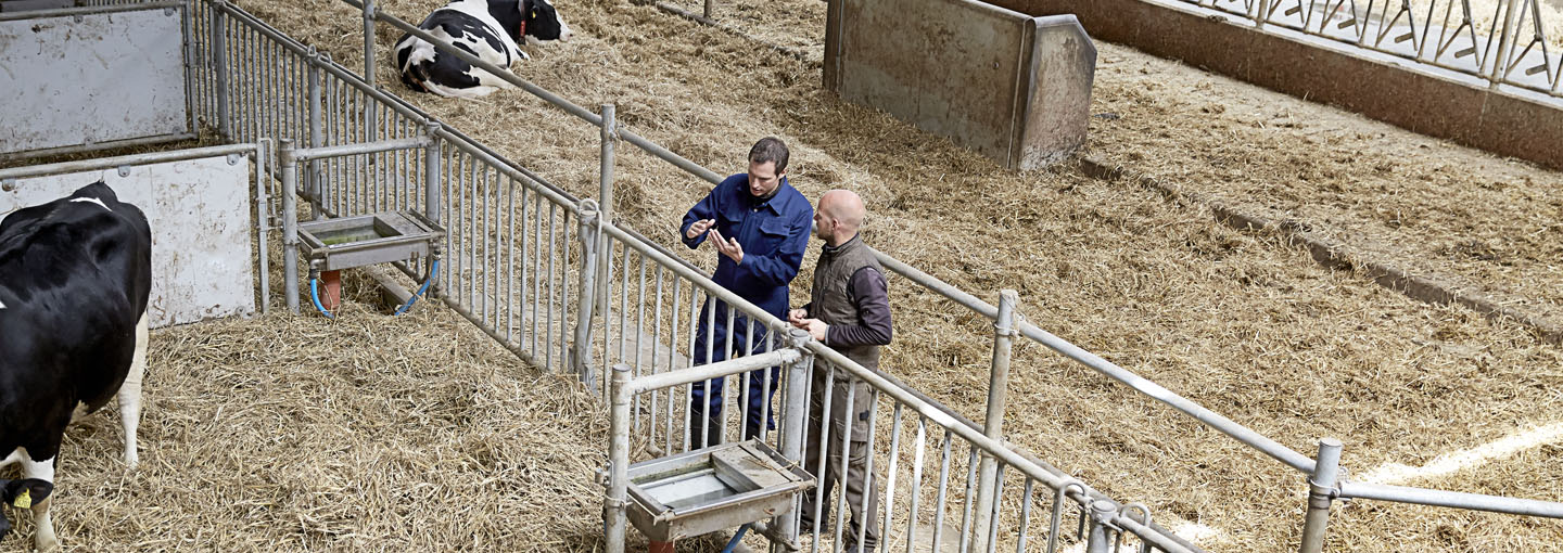 Hvordan motiverer du bedst dine medarbejdere på bedriften?