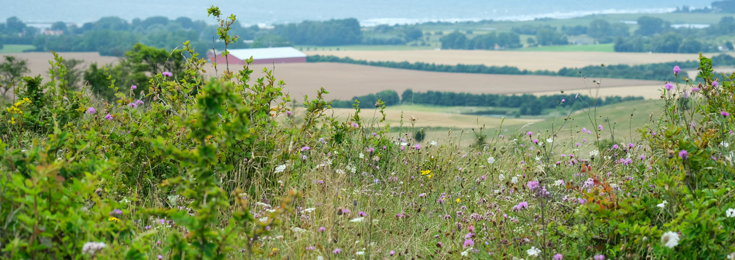 Landskab med udsigt over marker