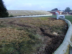 Naturligt flydelag og snittet halm