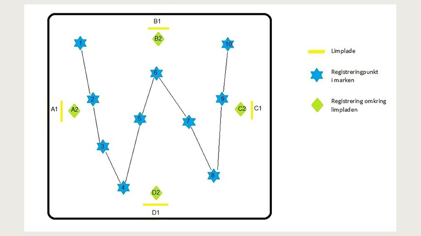 Skitse af mark, orange limplader og registreringspunkter.
