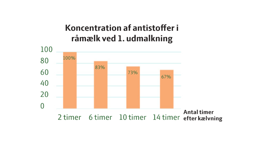 Koncentration af antistoffer i råmælk - Moore et. al, Journal of the American Veterinary Medical Association, 2005