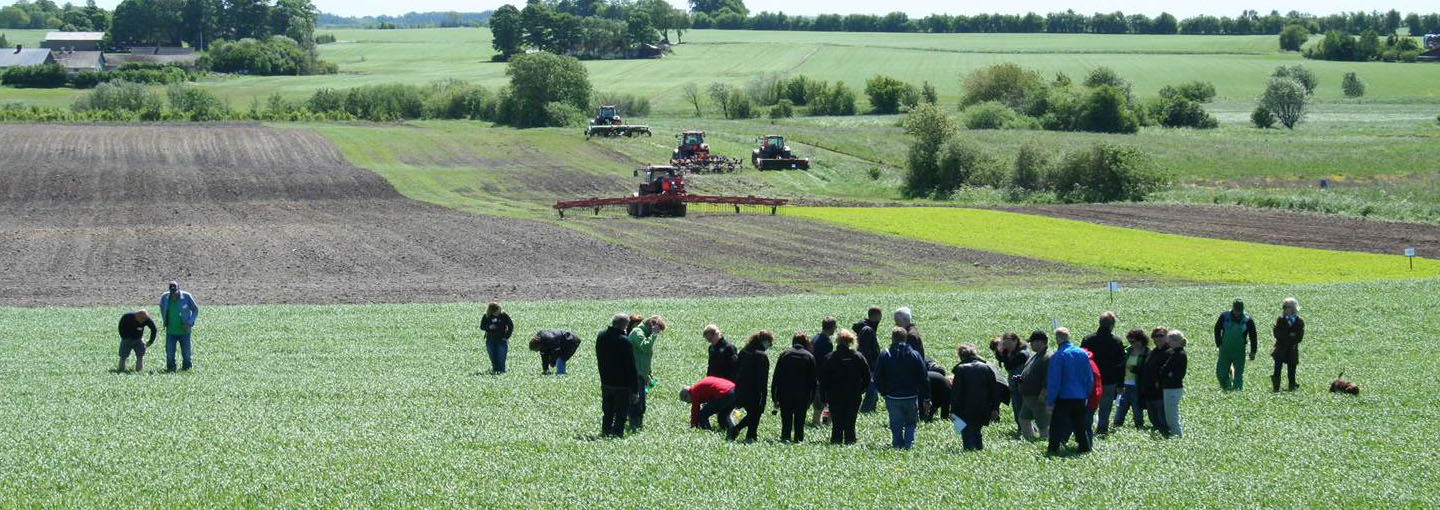 Økologikursus rådgivere og undervisere