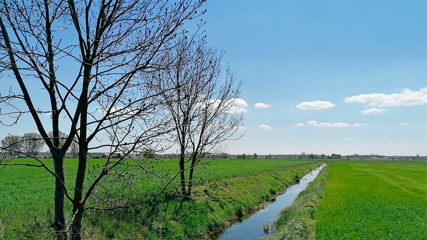 foto: Bedlno commune Polen