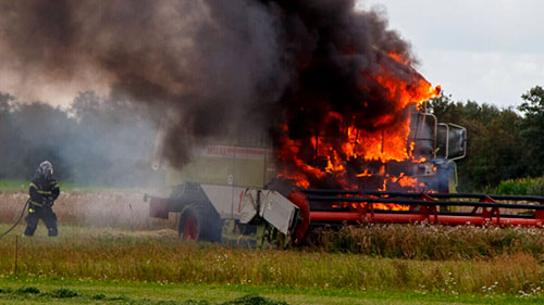 mejetærsker i brand