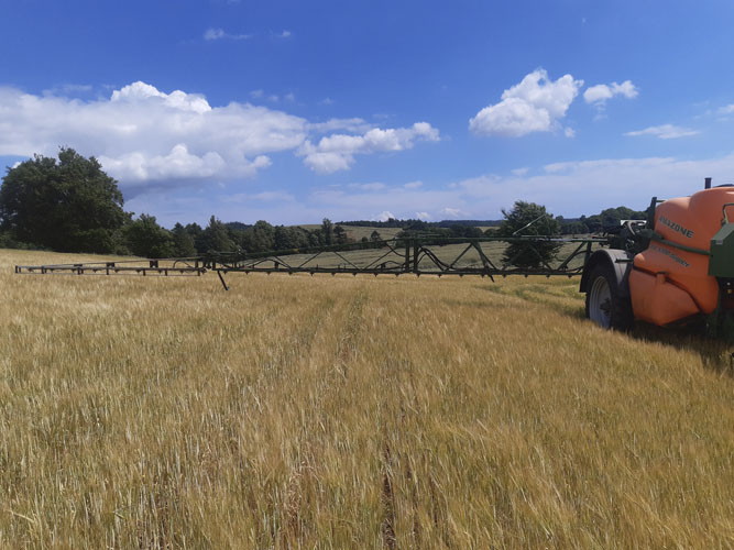 kornmark hvor der ses noget af en sprøjte