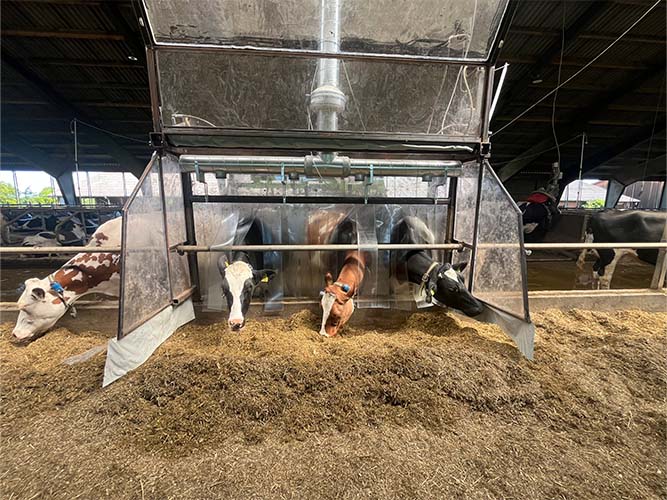 Foderbord med metanhus. Her med klappen åben for at man bedre kan se ind. Når metanhuset er i funktion, er klappen lukket. Ventilation sikrer at indeklimaet i metanhuset er ligesom i resten af stalden.