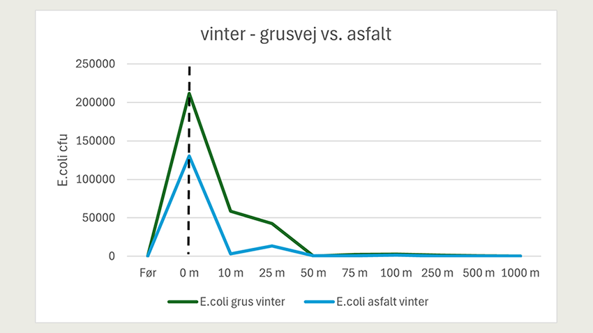 Antallet af bakterier på dækket afhænger af underlaget. Bakterier forsvinder hurtigere fra dækkene, når der køres på asfalt fremfor grus.