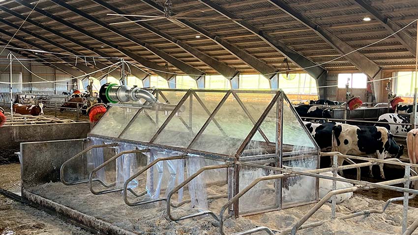 Metanhuse i stalden hos Svend Hestbæk.