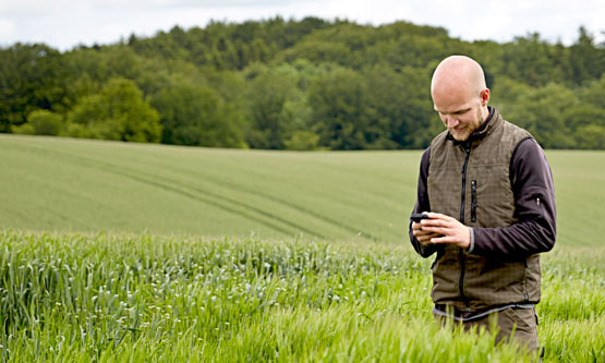 En mand står ude i grøn kornmark og tjekker sin mobiltelefone