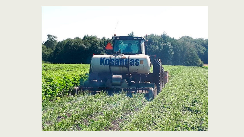 Gasbrænding er et alternativ men forudsætter aftopning og 2 – 3 overkørsler med 45 kg/ha propangas