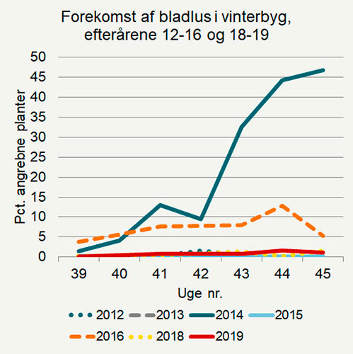 Udviklingen af bladlus (procent angrebne planter) i ubehandlede vinterbygmarker i efterårene 2012-2019 