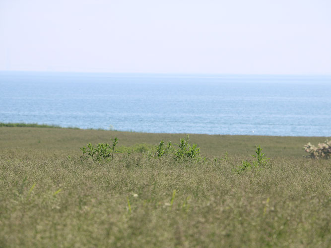 Præcision ved pletsprøjtning kræver kalibrering af alle led i kæden fra GPS-position på dronefoto til op-sætning af sprøjteudstyret.