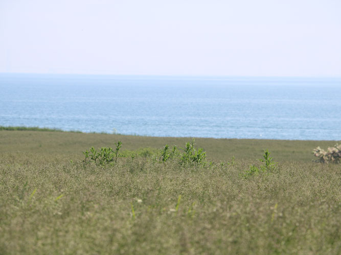 Præcision ved pletsprøjtning kræver kalibrering af alle led i kæden fra GPS-position på dronefoto til op-sætning af sprøjteudstyret.