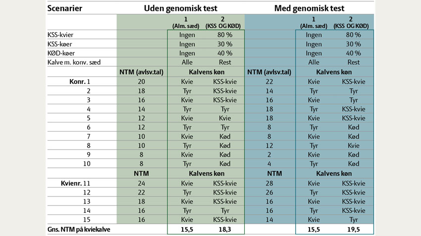 Tabel over med og uden genomisk test på køer og kvier