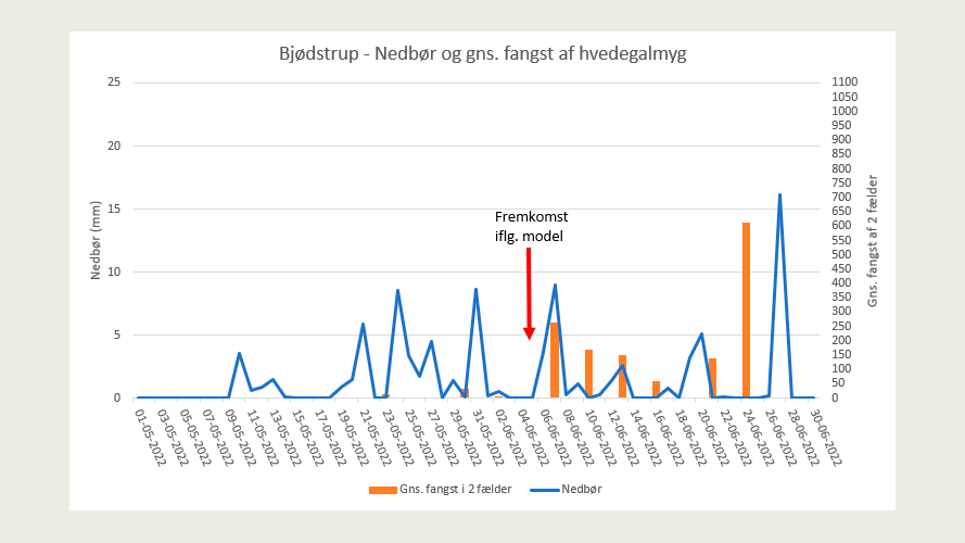 Graf for nedbør på døgnbasis (juni) og gennemsnitsfangst i to 