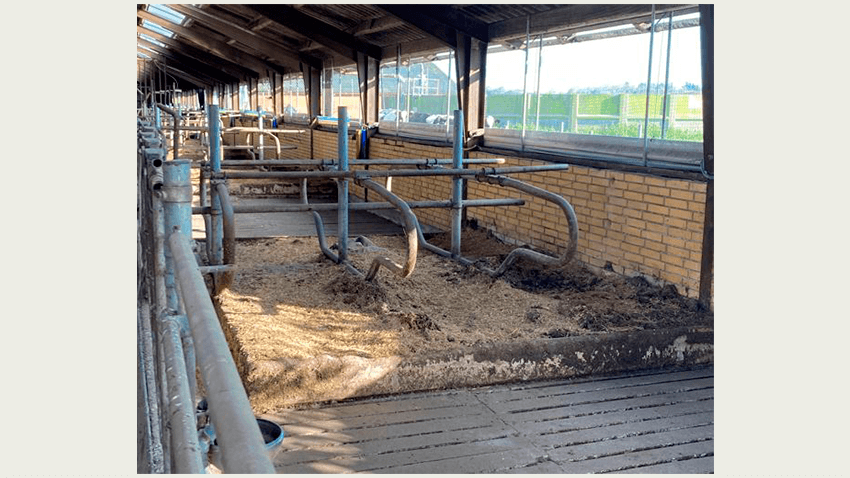 Sengebåse på tværs af fuldspalteboksene