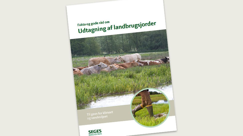 Billede af forsiden på brochuren Fakta og gode råd om udtagning af landbrugsjorder