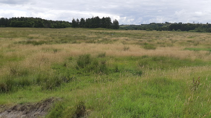 Lavbundsprojektet Runkenbjerg