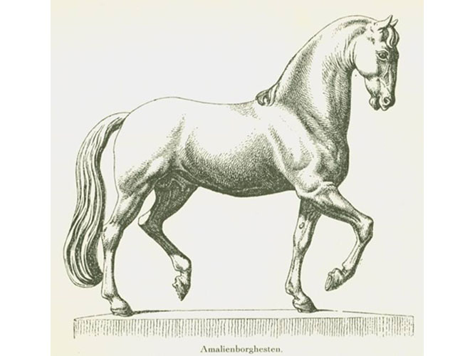 Amalienborghesten