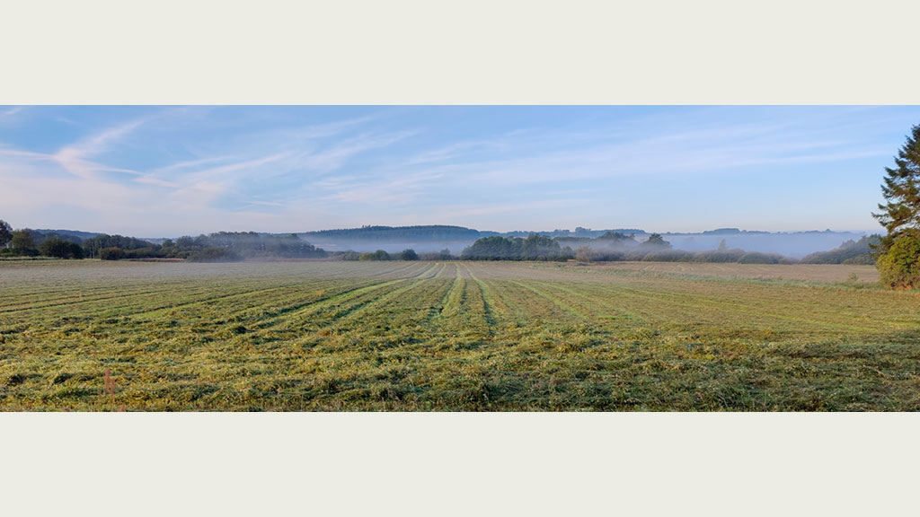 Billede ud over mark