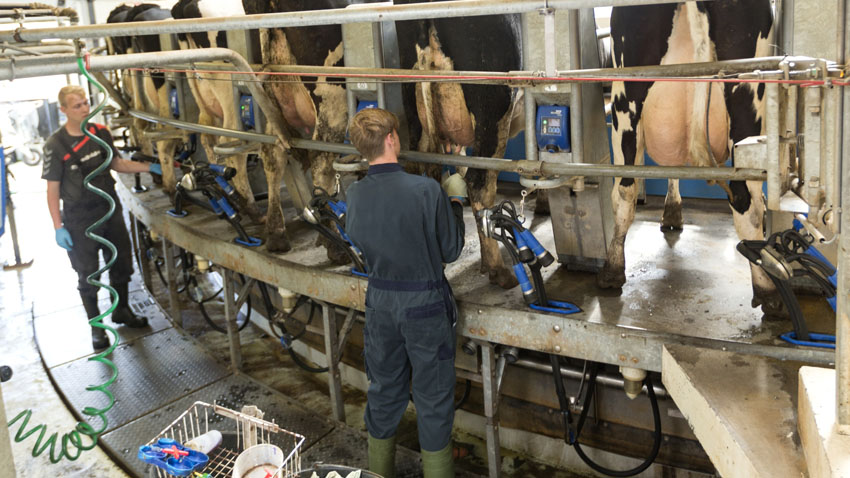 #2005.1_malkesystemer