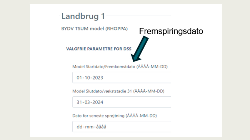 Dataindtasting for havrerødsotmodellen