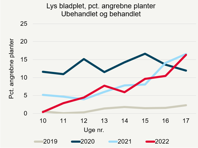 Procent angrebne planter af lys bladplet i vinterraps i registreringsnettet 2019 til 2022 for både de ubehandlede og behandlede marker.