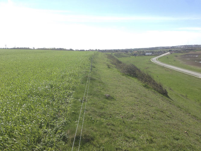 Ved dyrkningsarealer som ligger direkte opad værdifuld natur kan det være en god idé at tilrettelægge markarbejdet så naturarealet skånes for både gylle, handelsgødning og pesticider. 