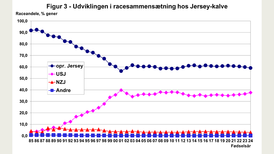 Udviklingen i racesammensætning hos Jersey-kalve