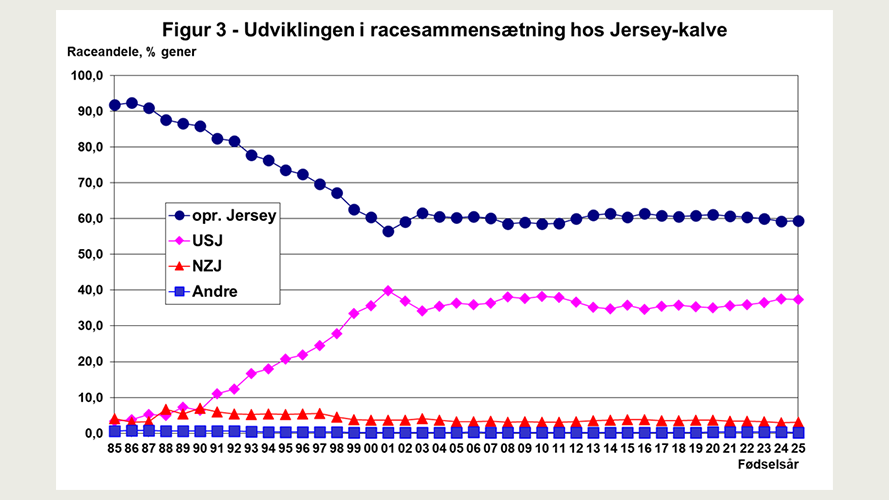 Udviklingen i racesammensætning hos Jersey-kalve