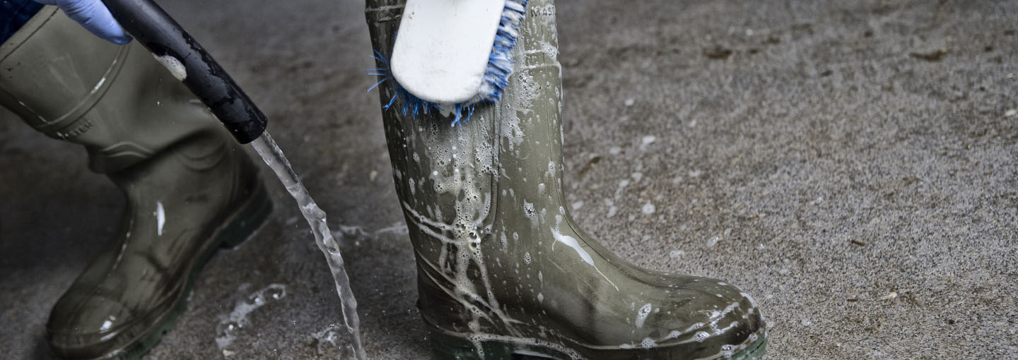 Vask af gummistøvler med vand, sæbe og børste
