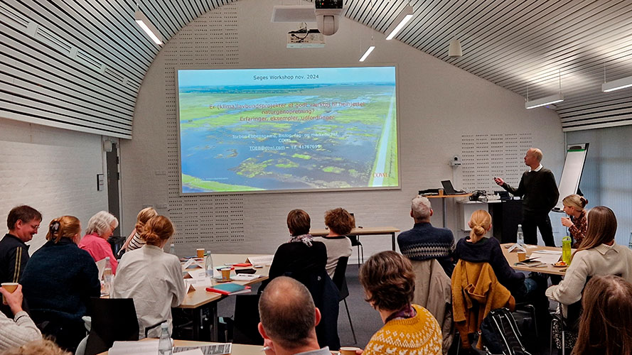 Stemningsbillede fra workshop om naturgenopretning på lavbundsarealer