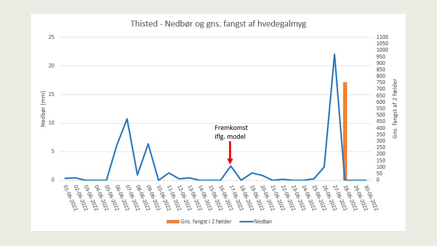 Graf for nedbør på døgnbasis og gennemsnitsfangst 