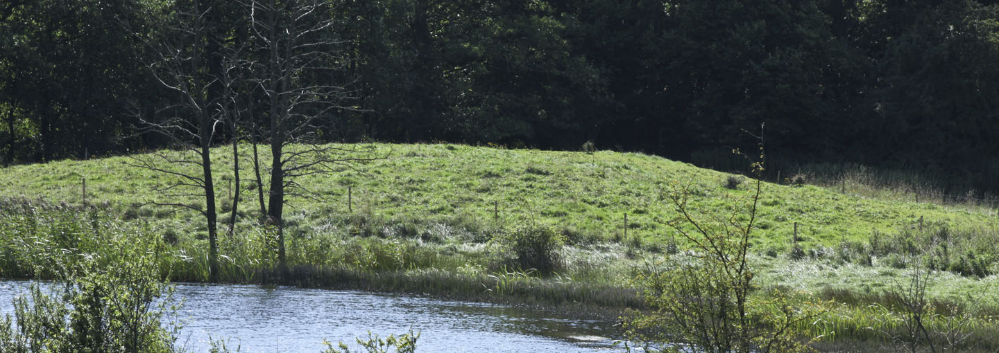 Find inspiration og viden om konkrete løsninger til at beskytte grundvandet på din bedrift. Hvilke løsningsmuligheder har du som lodsejer, hvis din jord berøres af rådighedsindskrænkninger om pesticidfri arealanvendelse