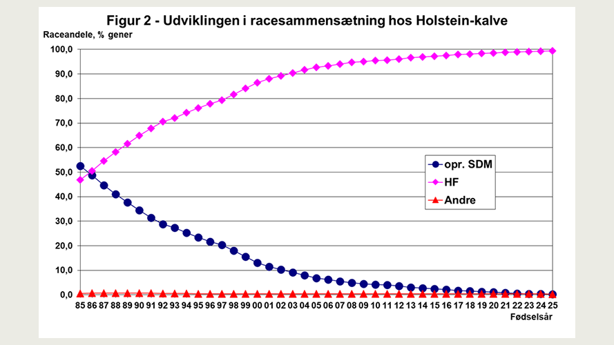 Udviklingen i racesammensætning hos Holstein-kalve