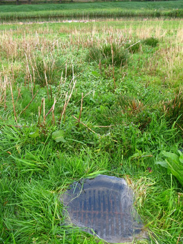 Græsmark med dræn afløb, hvor vandet løber op af drænet, fordi bagved liggende mark ligger højere