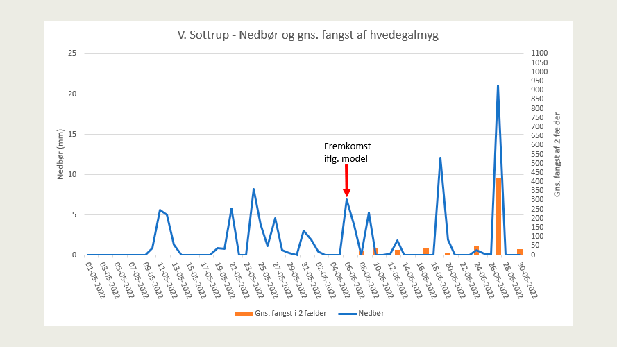 Graf for nedbør på døgnbasis (juni) og gennemsnitsfangst i to 