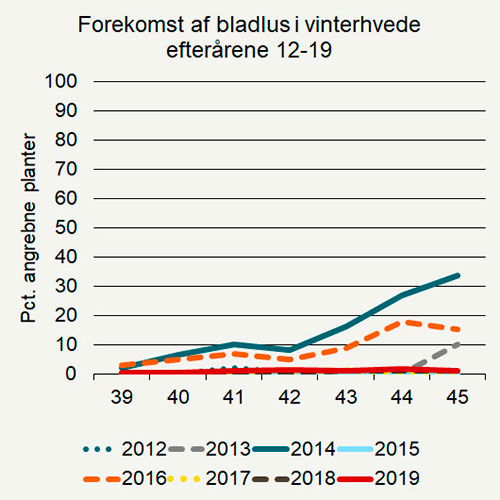 Udviklingen af bladlus (procent angrebne planter) i ubehandlede vinterhvedemarker i efterårene 2012-2019 