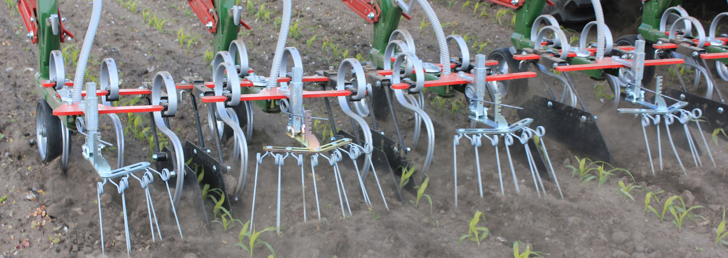 Ukrudtsbekæmpelse i majs